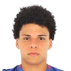 Emerson Urso